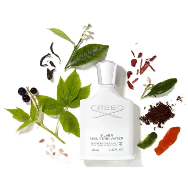 Creed Silver Mountain (3)