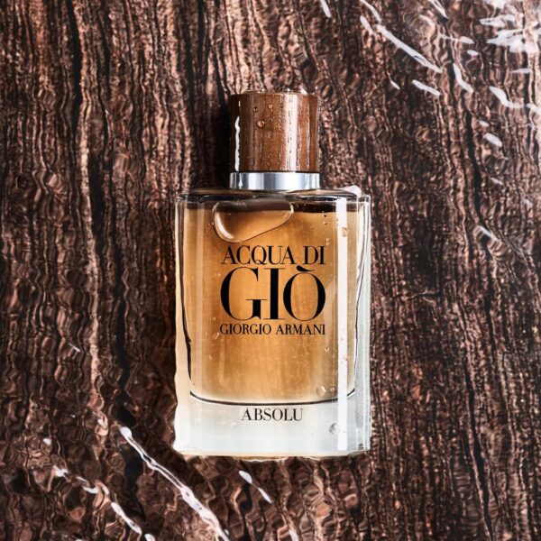 Giorgio Armani absolu (2)